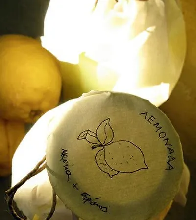 Дом отдыха Alonaki Tinos House